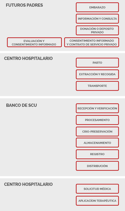 Diagrama de proyección y conservación médica